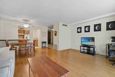 Thorndale Beach South Condominiums unit 9F, Chicago, IL 60660 - photo 4