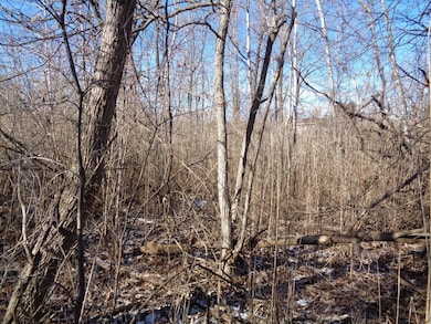 Lt249-264 Hyacinth Rd, Bloomfield, WI 53157 - photo 2