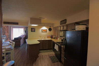 117 E Steam Engine unit 3B, Brian Head, UT 84719 - photo 3