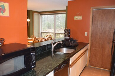 5 Northbrook Village Rd unit E-16, Dover, VT 05356 - photo 3