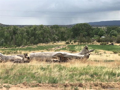 0 P County Road 571, Gardner, CO 81040 - photo 4