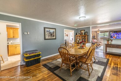 508 N Island St, Bloomfield, NM 87413 - photo 7