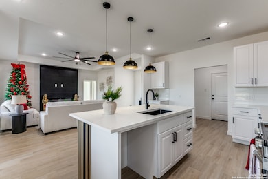 16724 Llano Estacado Dr, Atascosa, TX 78002 - photo 7