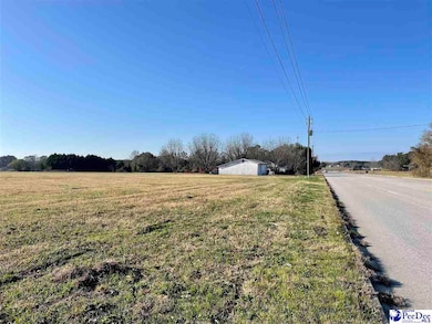 Hwy 9 Angelus Rd, Chesterfield, SC 29709 - photo 3