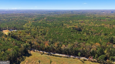 2116 Jones Mill Rd, Whitesburg, GA 30185 - photo 4