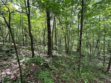 704 Old Highway 66, Leslie, AR 72645 - photo 4