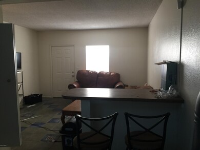 317 E Lester St, Tucson, AZ 85705 - photo 5