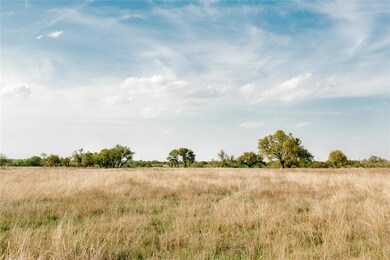 TBD 93 Latigo Way, Weatherford, TX 76088 - photo 4