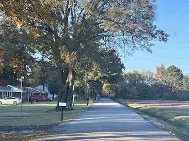 105 Wyatt St, Bono, AR 72416 - photo 3