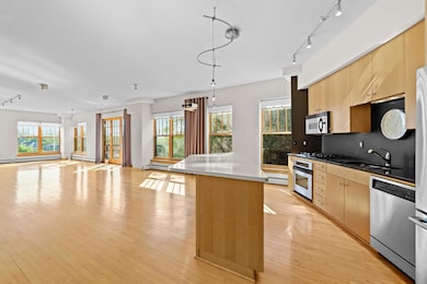 408 N 1st St unit 403, Minneapolis, MN 55401 - photo 5