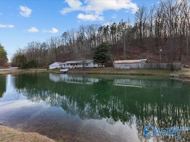 1007 Rocky Hollow Rd, Blountsville, AL 35031 - photo 3