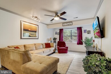 17 Juliet Ln unit 302, Nottingham, MD 21236 - photo 3