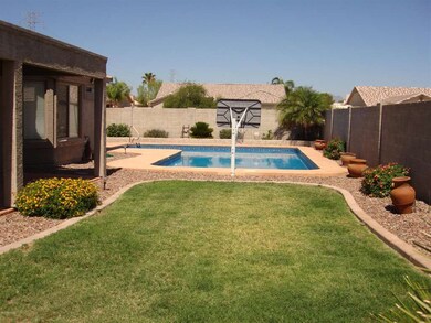 Back yard
