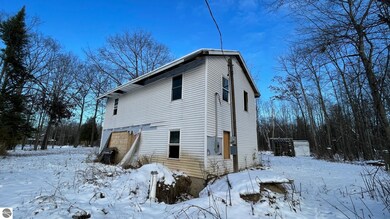 3889 Birchwood St, Beaverton, MI 48612 - photo 2