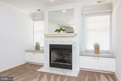 4700 Coyle Rd unit 101, Owings Mills, MD 21117 - photo 5