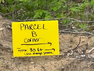 Parcel #B N Townline Rd, Lewiston, MI 49756 - photo 4