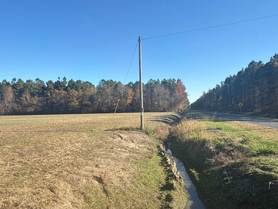 Tuten Rd, Blounts Creek, NC 27814 - photo 7