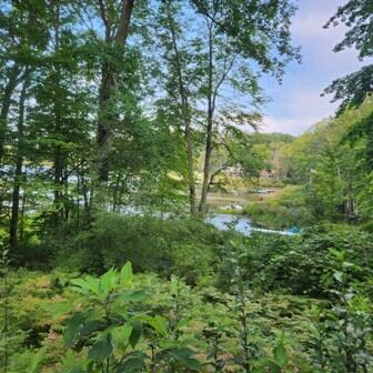 12129 N Lake St, Bitely, MI 49309 - photo 4