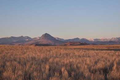1459 Moccasin Trail, Augusta, MT 59410 - photo 6