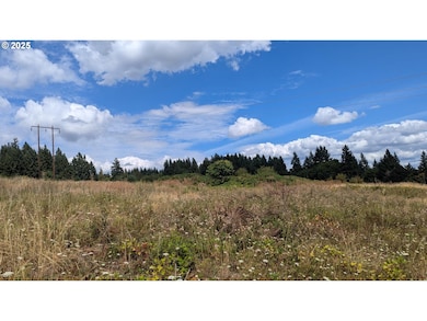0 Kestrel View Dr, St. Helens, OR 97051 - photo 7