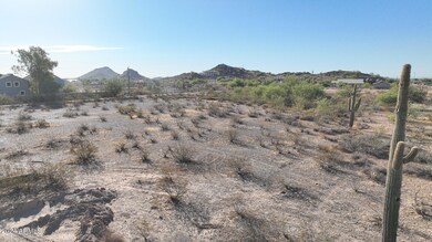 0000 W Saguaro View Dr unit 503-52-968, Surprise, AZ 85387 - photo 6