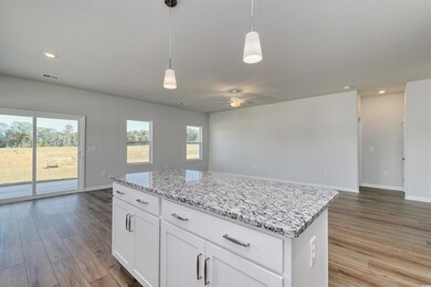 409 Meadow Sweet Place, Conway, SC 29526 - photo 7