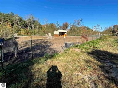 6236 E Michigan 55, Whittemore, MI 48770 - photo 3