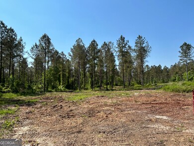 0 Springhaven Rd unit LOT 18 10589731, Dexter, GA 31019 - photo 5