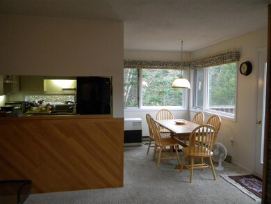 10 Mountain Brook Way unit 15, Waterville Valley, NH 03215 - photo 6