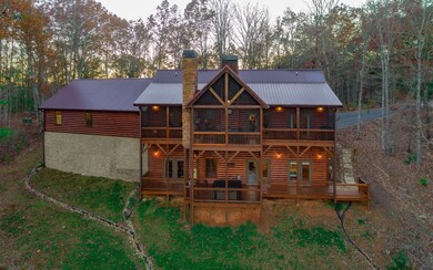 Additional View