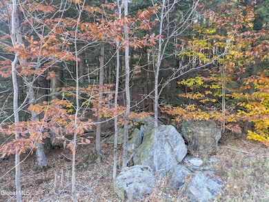 443 Lake Desolation Rd, Middle Grove, NY 12850 - photo 4