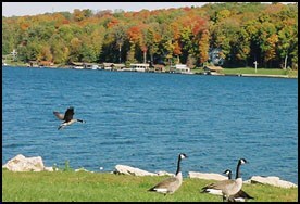 0 Royal Cir unit 9052203, Howard Township, OH 43028 - photo 6