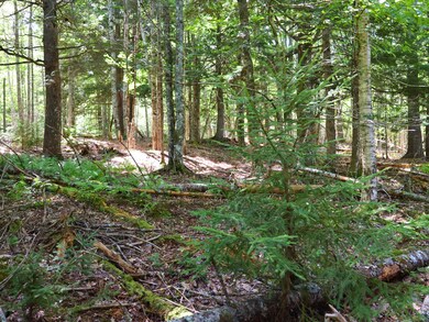 710-644 Beechwood St, Warren, ME 04864 - photo 7