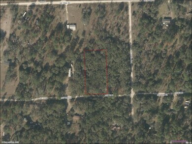 TBD SE 73rd Place unit Lot 11, Morriston, FL 32668 - photo 5