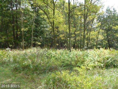 0 N Ridge Rd unit 1000213555, Mathias, WV 26812 - photo 2