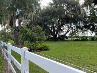 side of house pasture with mature palms and grandf