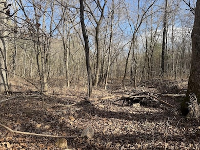 000 Ottofy Way, Eminence, MO 65466 - photo 5