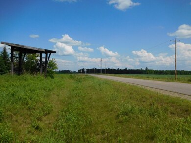 W9868 Cth B, Neva, WI 54424 - photo 4