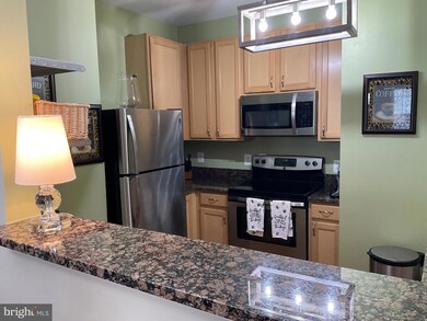 22655 Blue Elder Terrace unit 202, Ashburn, VA 20148 - photo 4