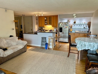 Lake Run Condominium unit 414S, Prospect Heights, IL 60070 - photo 5