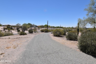 acacia st (44)