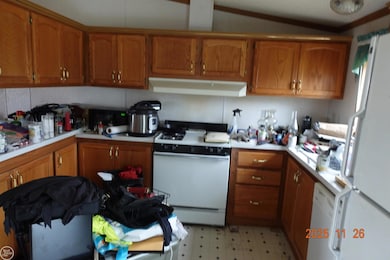 5975 E Beal City Rd, Mount Pleasant, MI 48858 - photo 6