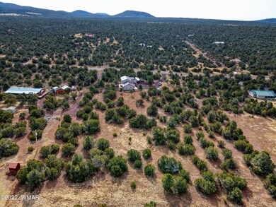 Aerial of Neighborhood