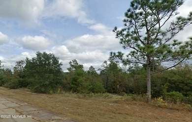 0 Hale Ct, Chipley, FL 32428 - photo 2