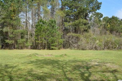 Huge Back Yard