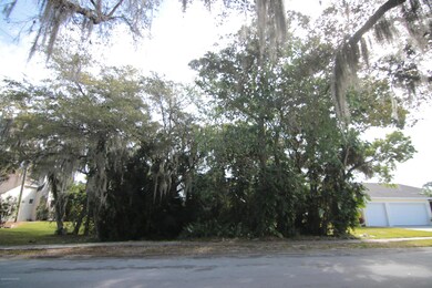2020-03-10 - Savanahs - 005