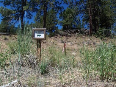 3145 NW Shevlin Meadow Dr unit 99, Bend, OR 97701 - photo 2