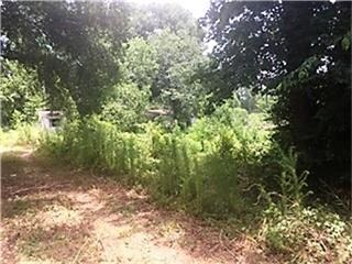 27541 Carraway Ln, Magnolia, TX 77354 - photo 3