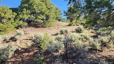 1702 Luke Rd, Fort Garland, CO 81133 - photo 7