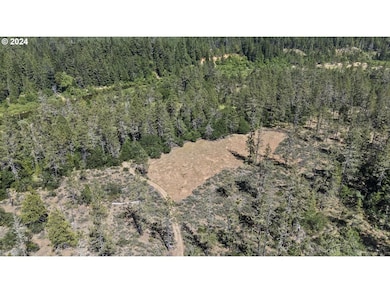 168 Krauss Ln, Cave Junction, OR 97523 - photo 2